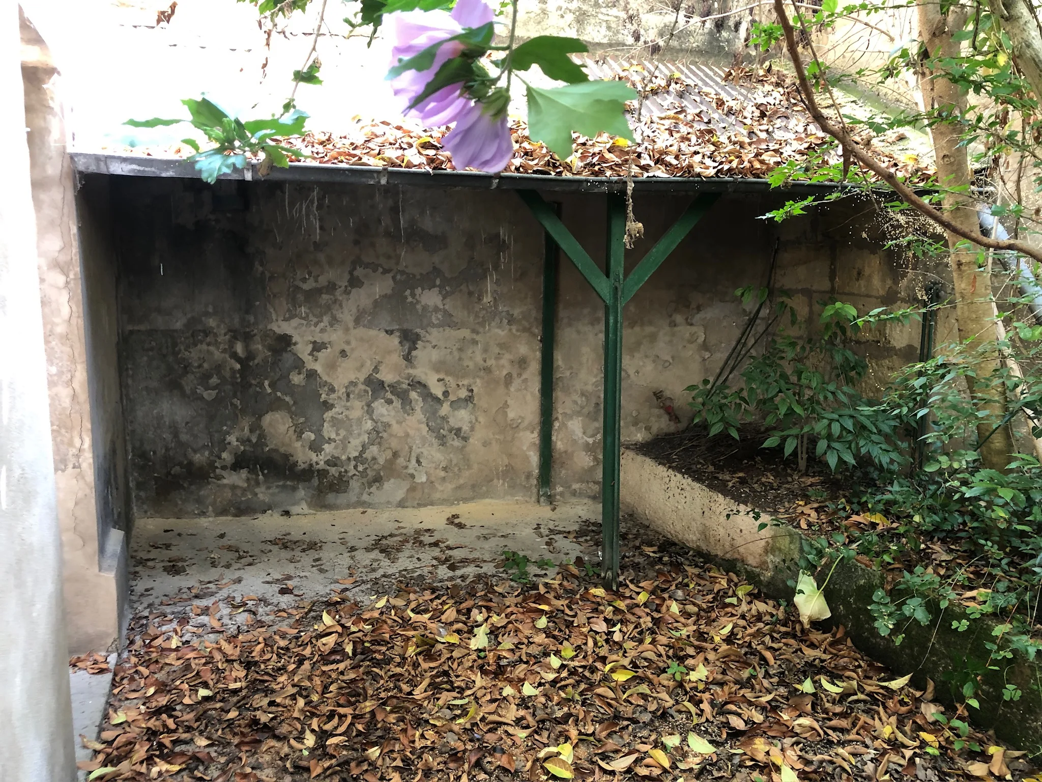 Cour avant restauration